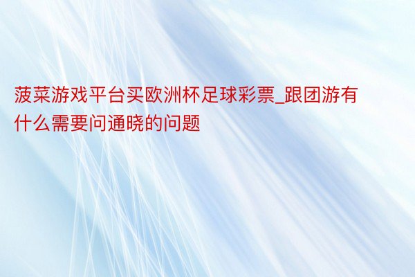 菠菜游戏平台买欧洲杯足球彩票_跟团游有什么需要问通晓的问题